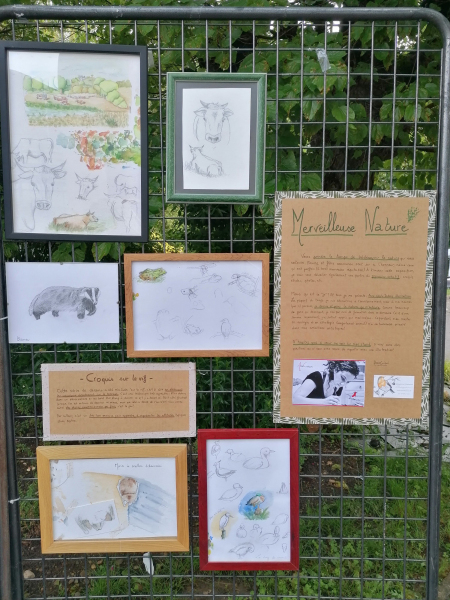 Estival du Dauphiné expo