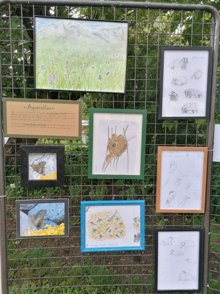 Estival du Dauphiné expo