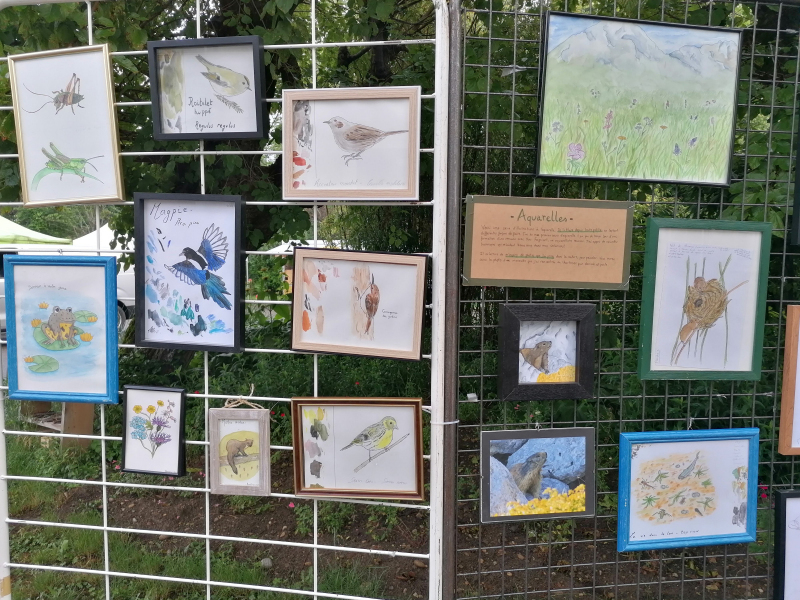 Estival du Dauphiné expo