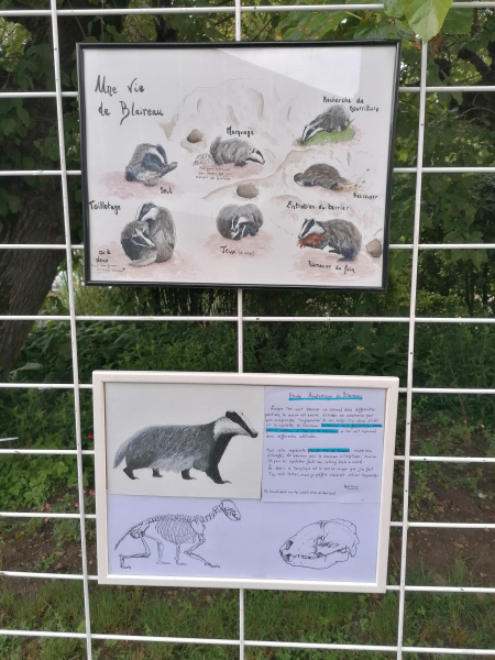 Estival du Dauphiné expo