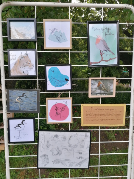 Estival du Dauphiné expo