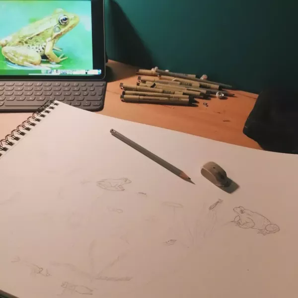 1ère étape aquarelle