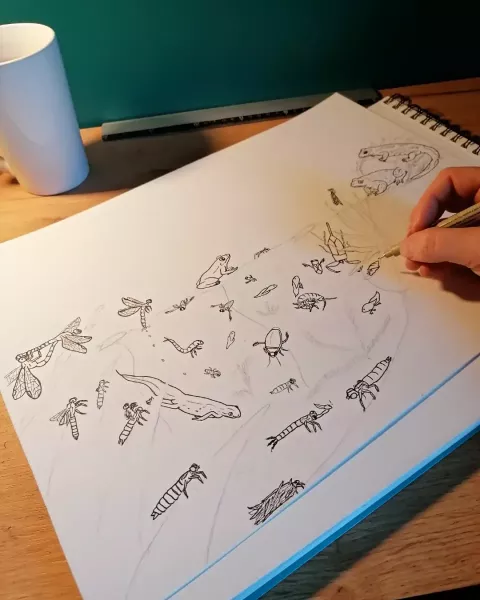 2ème étape aquarelle