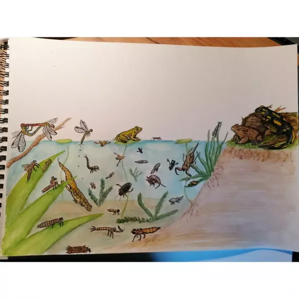 3ème étape aquarelle