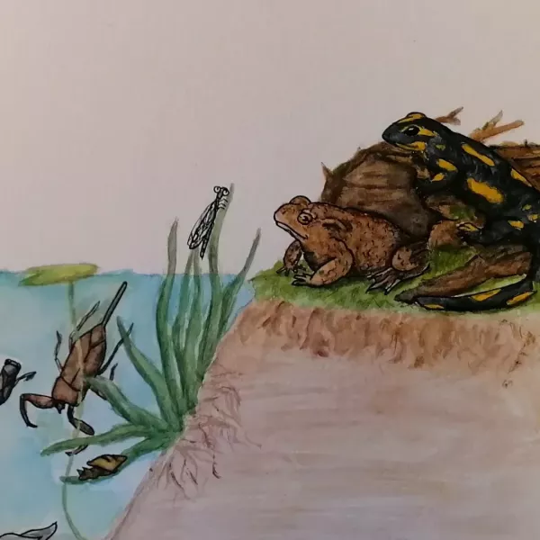 3ème étape aquarelle - zoom 1