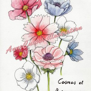 Cosmos et anémones