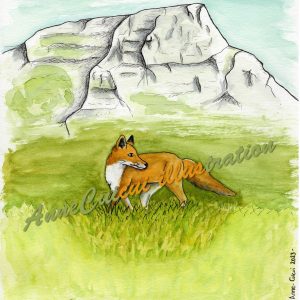 Renard Savoyard - le Granier