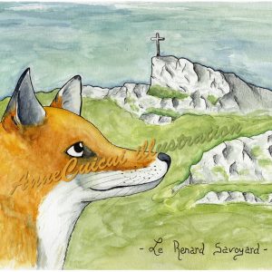 Renard savoyard - la Croix du Nivolet