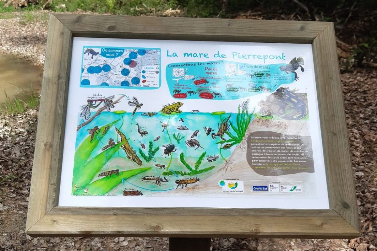 Panneaux sur les mares