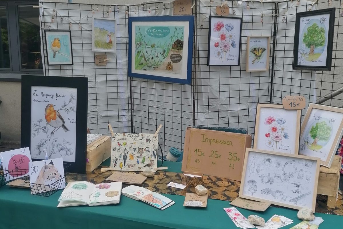 Estival du Dauphiné 2024